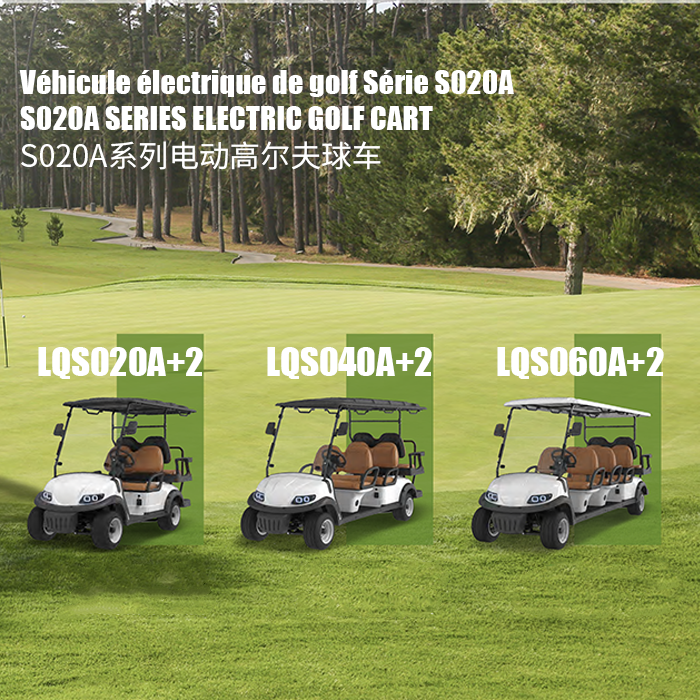 Voiturette de golf biplace série T