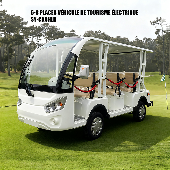 Série de voiturettes de golf de six à huit places S